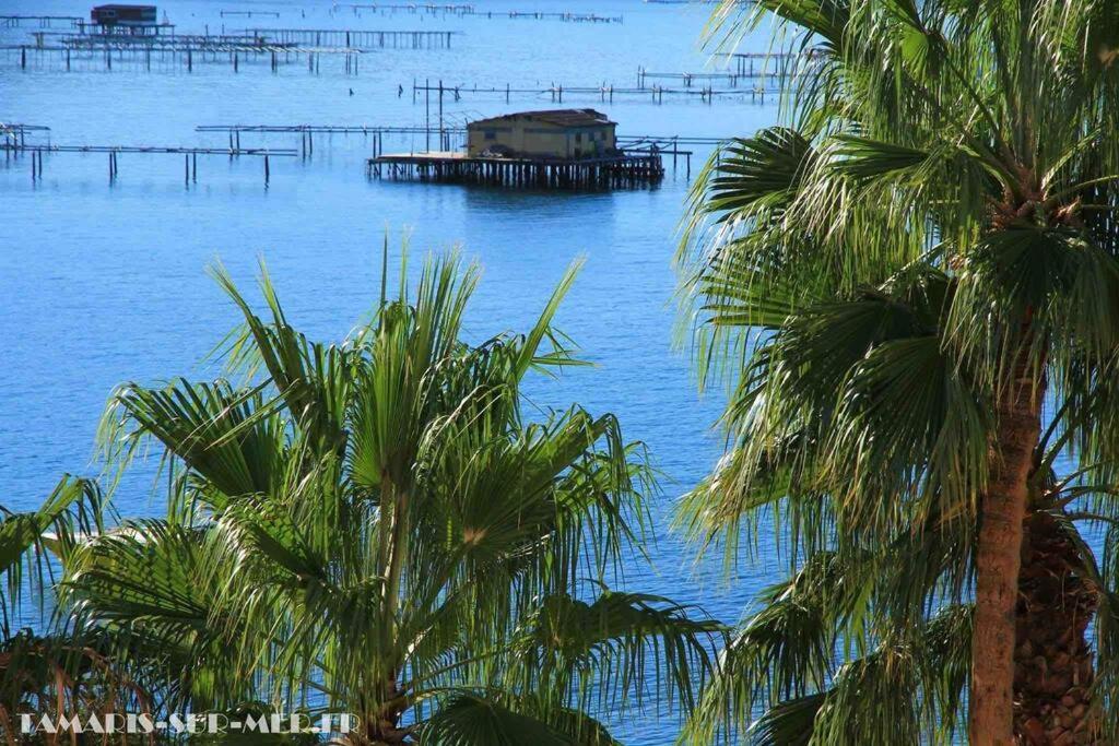 Appartamento Le Titanic La Seyne-sur-Mer Esterno foto